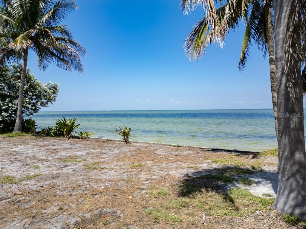 1013 Symphony Isles Boulevard Apollo Beach FL 33572 - TAMPA BAY T3542171 image20