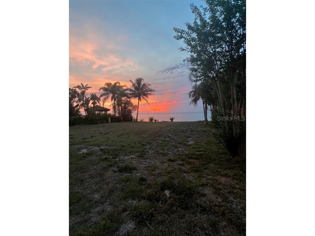 1013 Symphony Isles Boulevard Apollo Beach FL 33572 - TAMPA BAY T3542171 image6