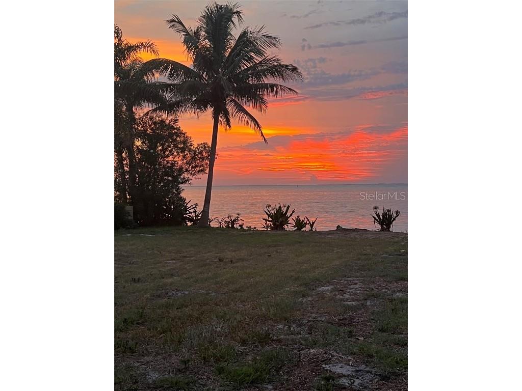 1013 Symphony Isles Boulevard Apollo Beach FL 33572 - TAMPA BAY T3542171 image7