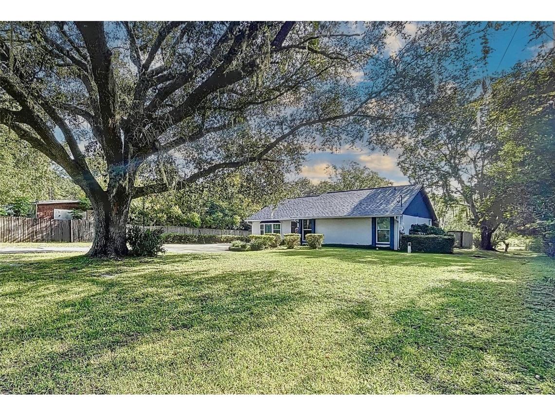 10130 Ehren Cutoff Land O Lakes FL 34639 - POND T3474519 image1