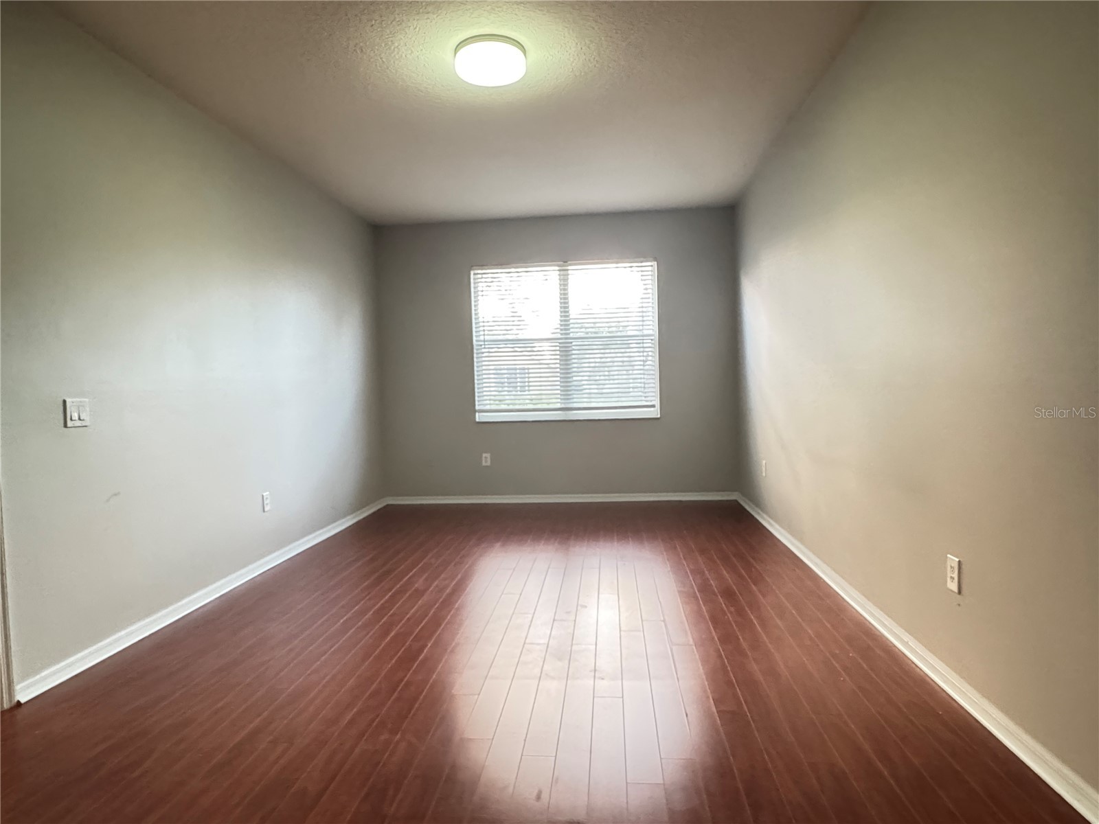 10130 Heather Sound Drive Tampa FL 33647 TB8482922 image42