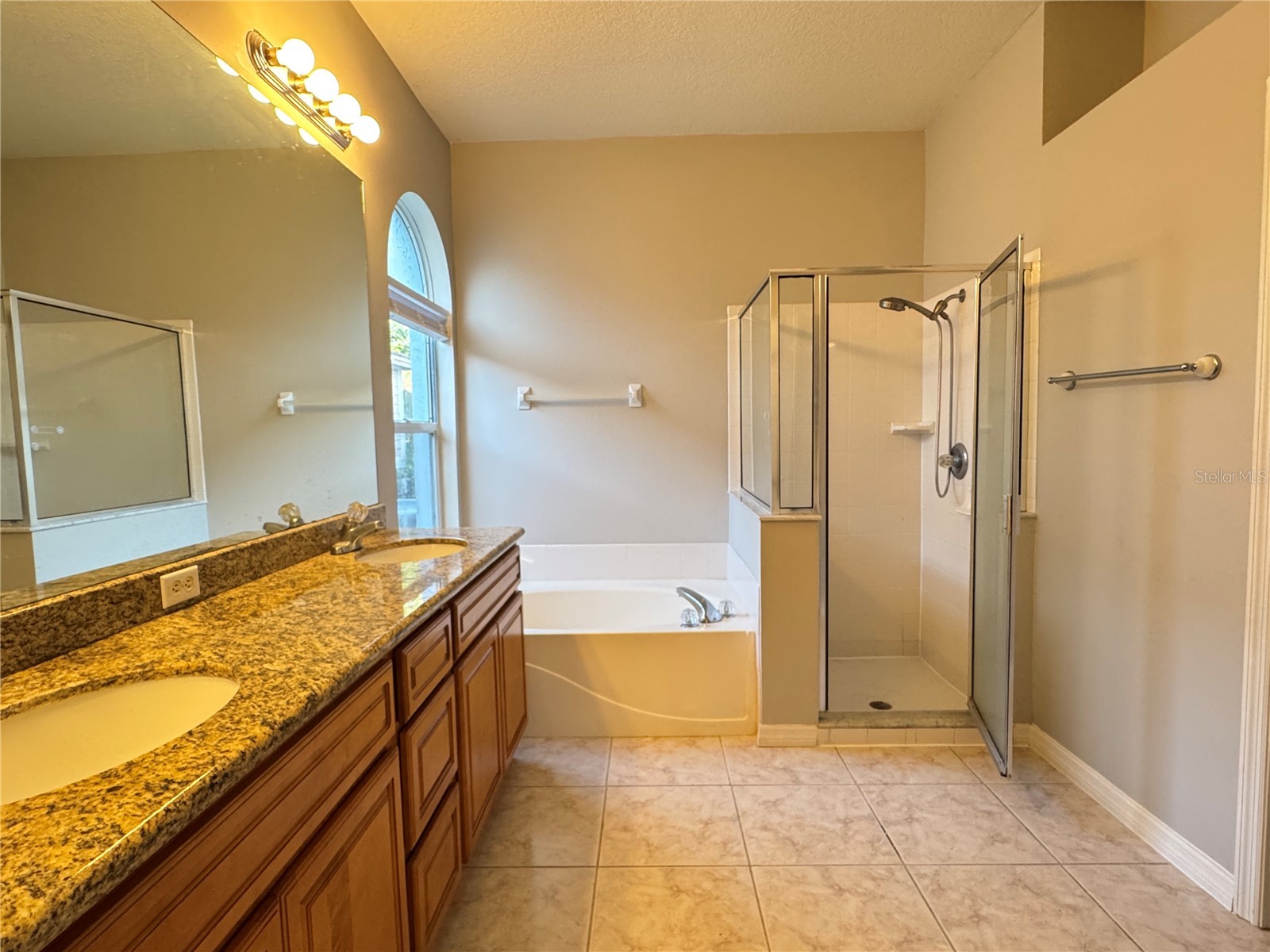 10130 Heather Sound Drive Tampa FL 33647 TB8482922 image44