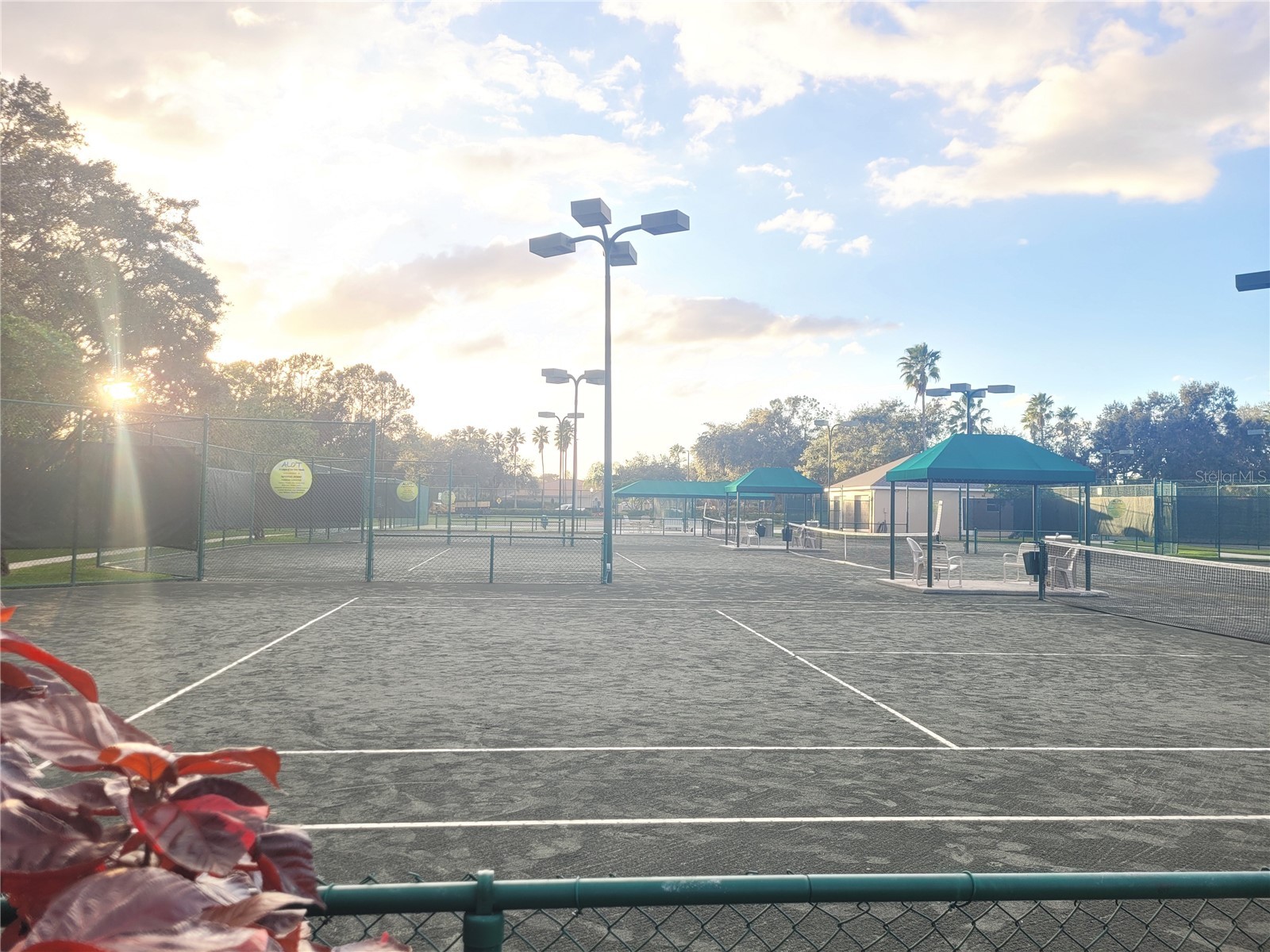 10130 Heather Sound Drive Tampa FL 33647 TB8482922 image65