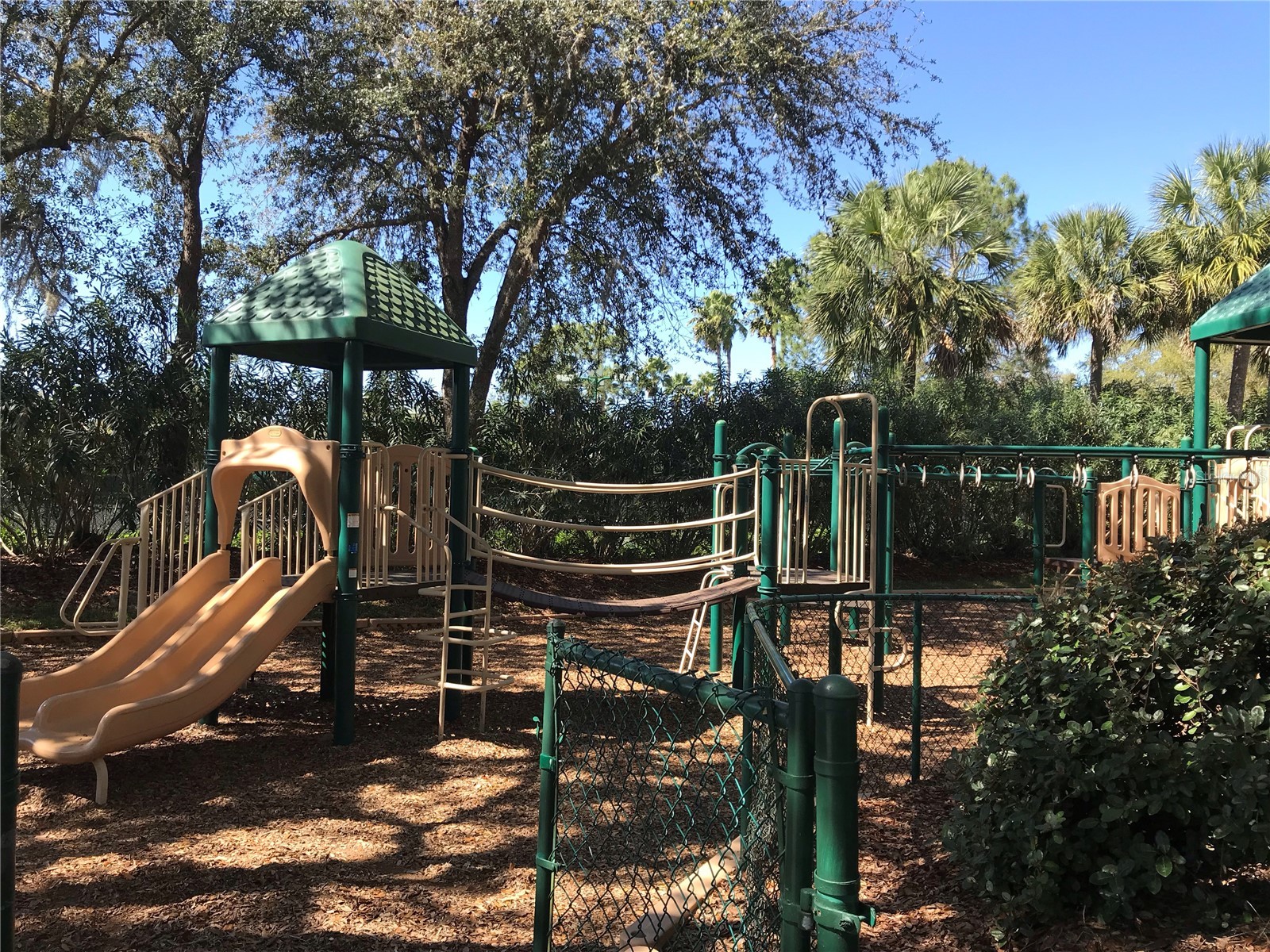 10130 Heather Sound Drive Tampa FL 33647 TB8482922 image73