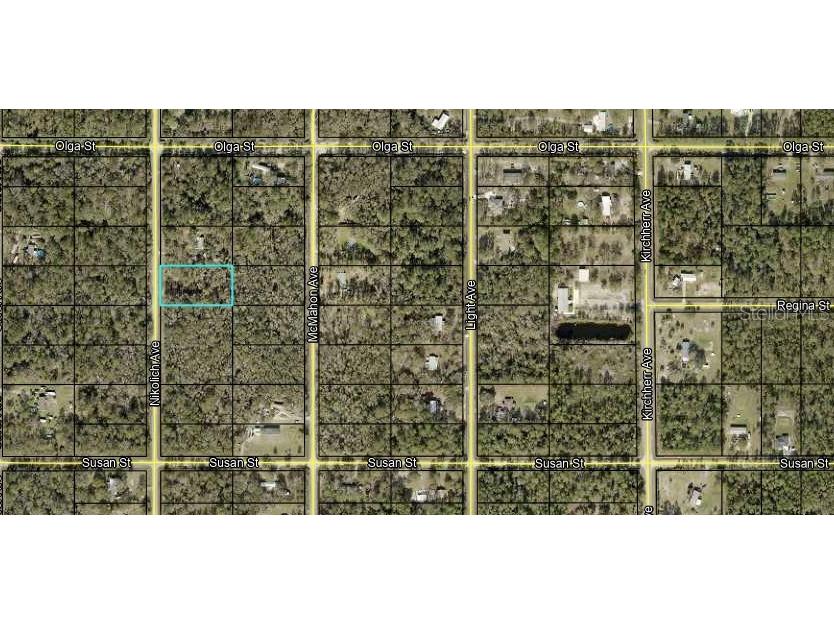 10130 Nikolich Avenue Hastings FL 32145 FC300293 image1