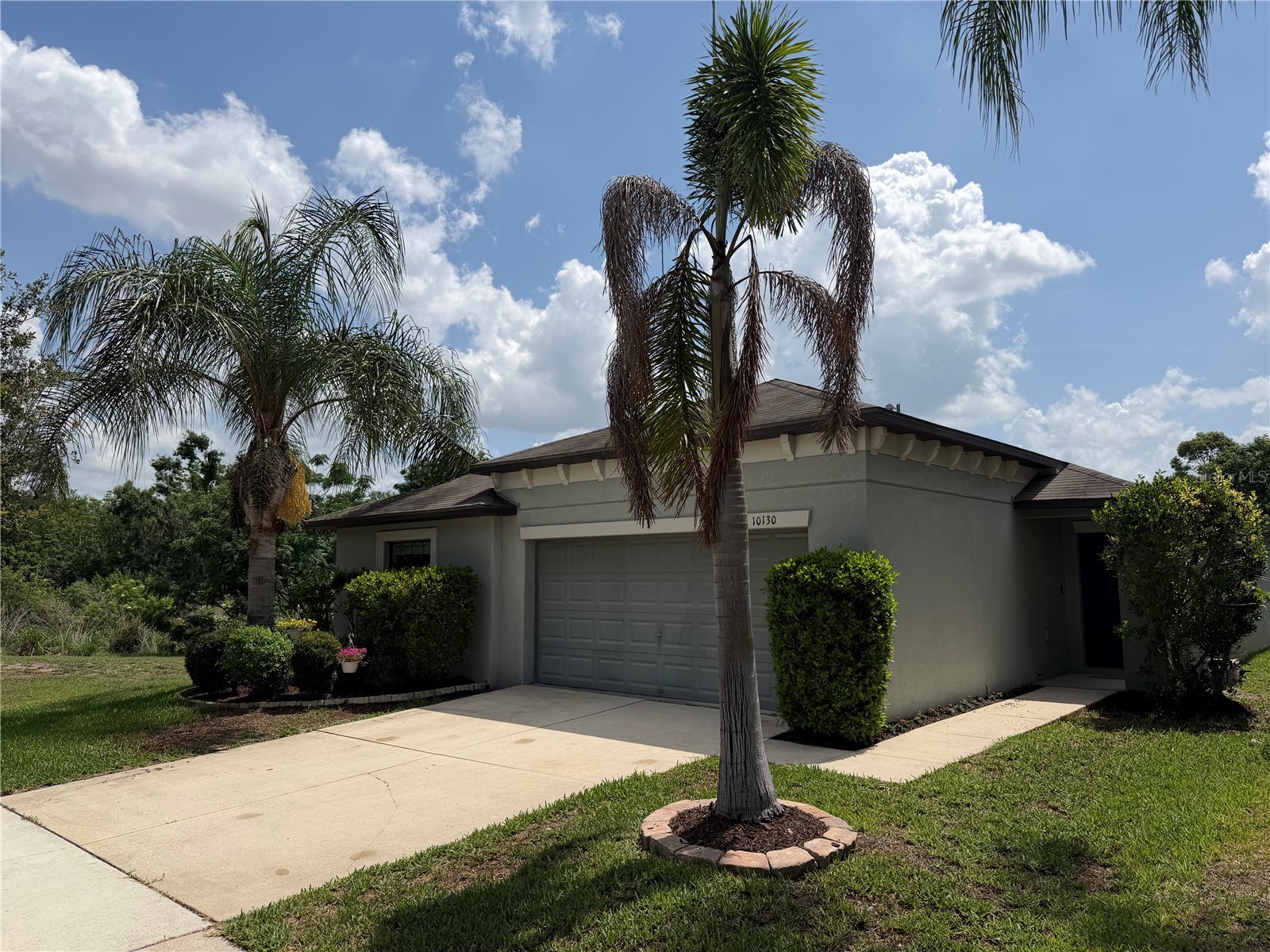 10130 Rose Petal Place Riverview FL 33578 A4695000 image1