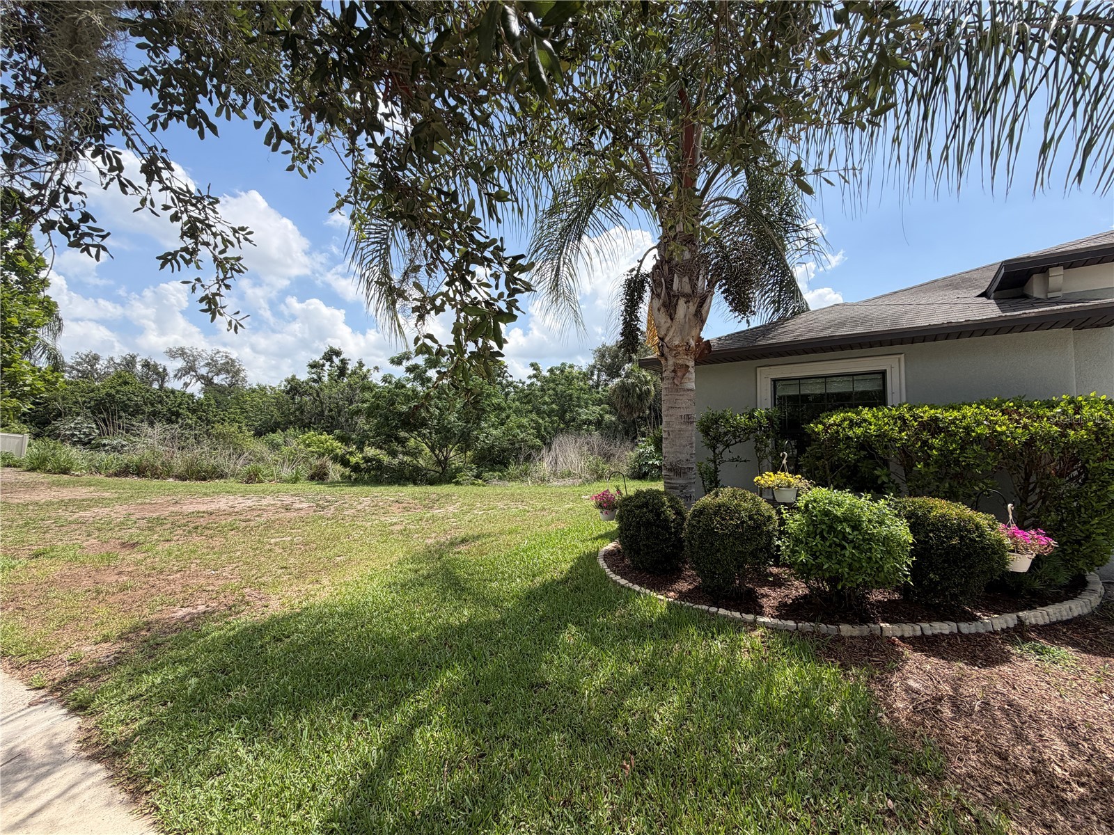 10130 Rose Petal Place Riverview FL 33578 A4695000 image10