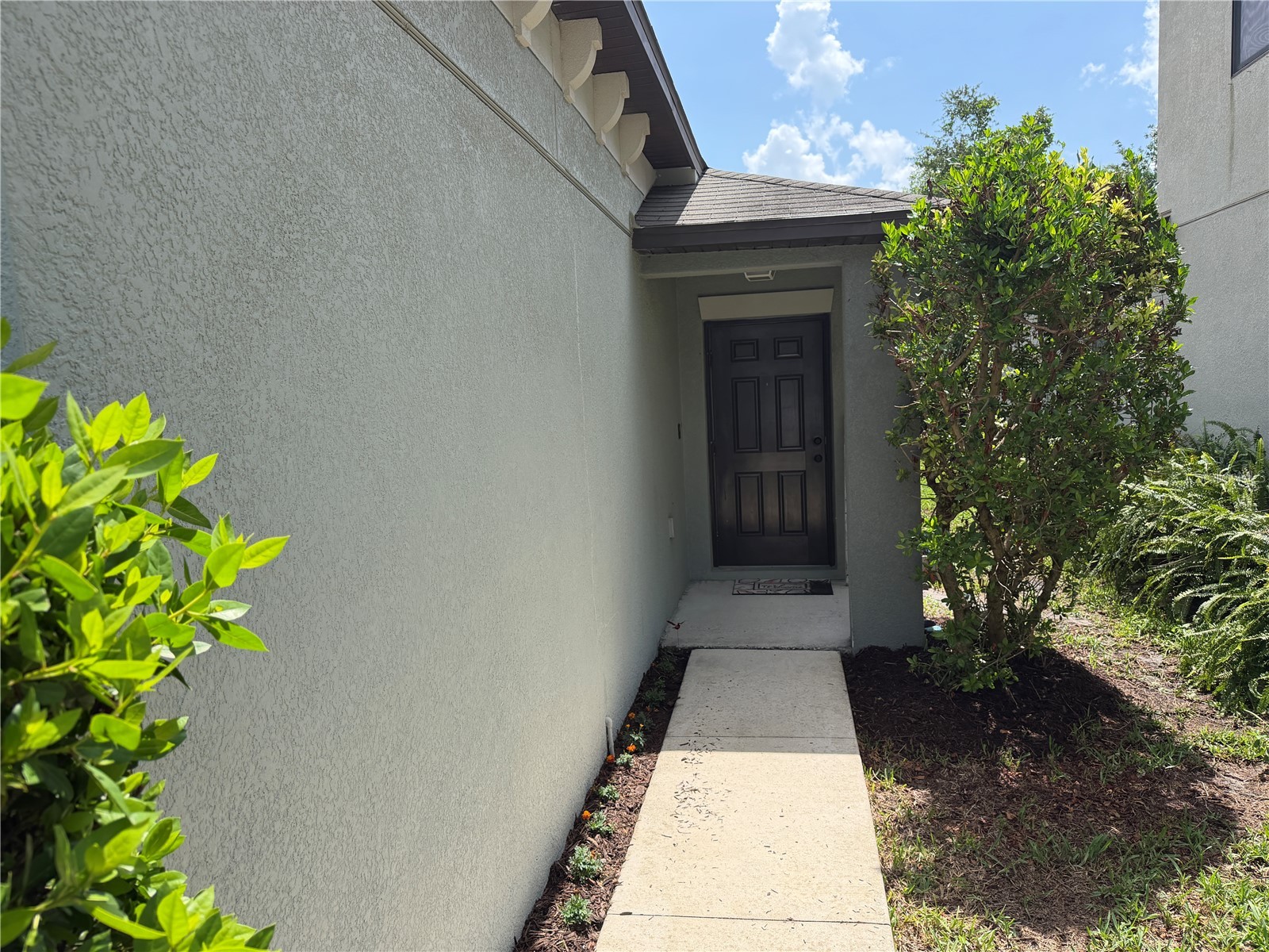 10130 Rose Petal Place Riverview FL 33578 A4695000 image11