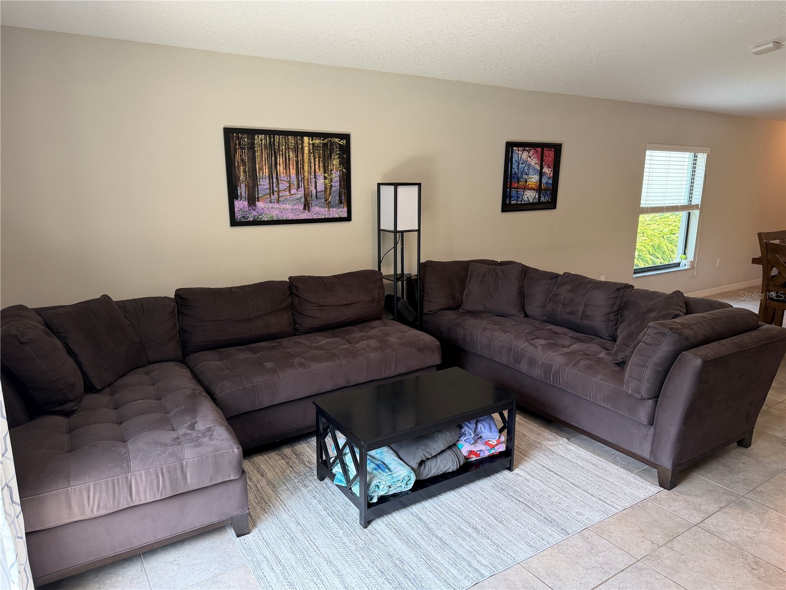 10130 Rose Petal Place Riverview FL 33578 A4695000 image20