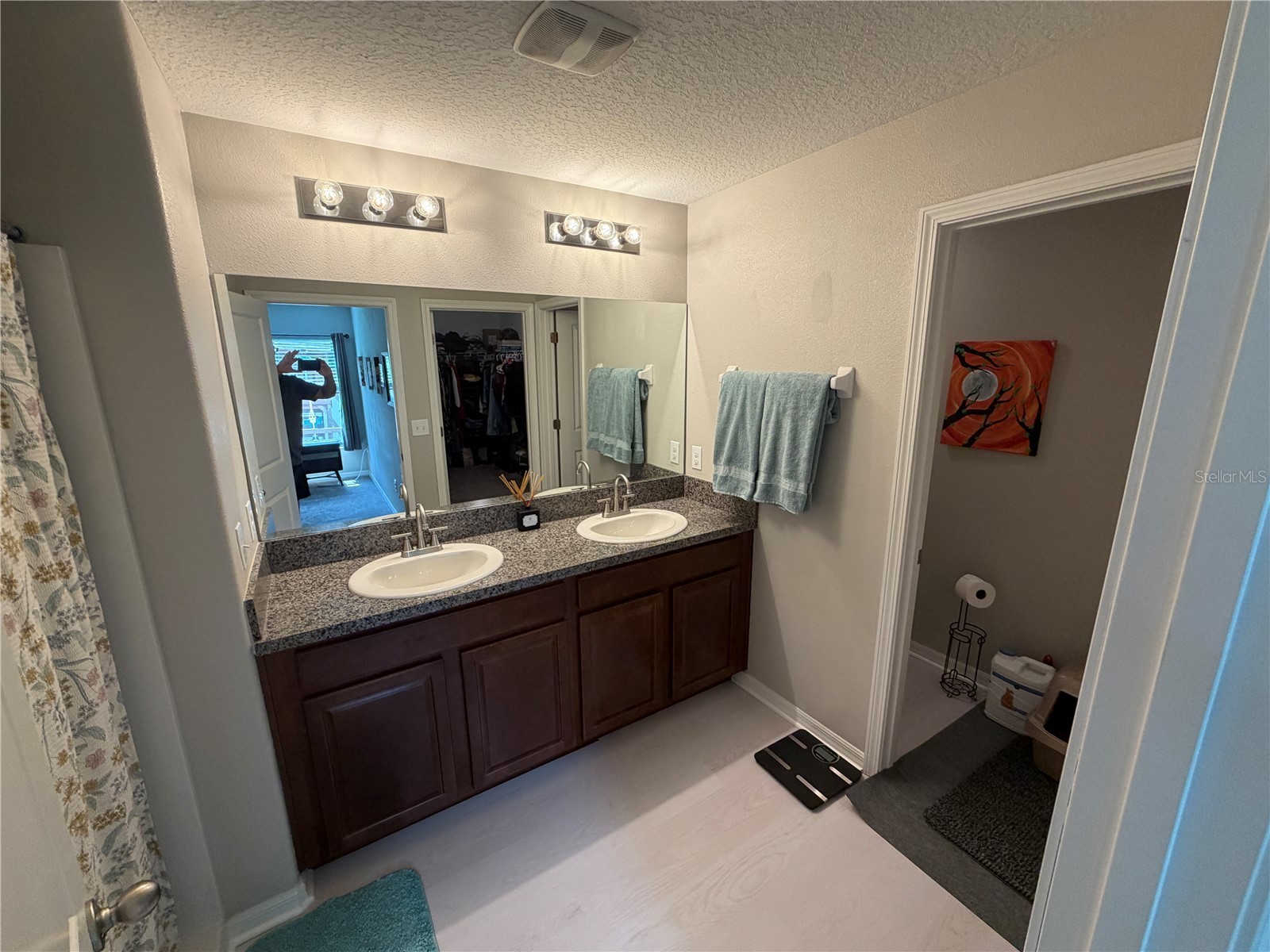 10130 Rose Petal Place Riverview FL 33578 A4695000 image27