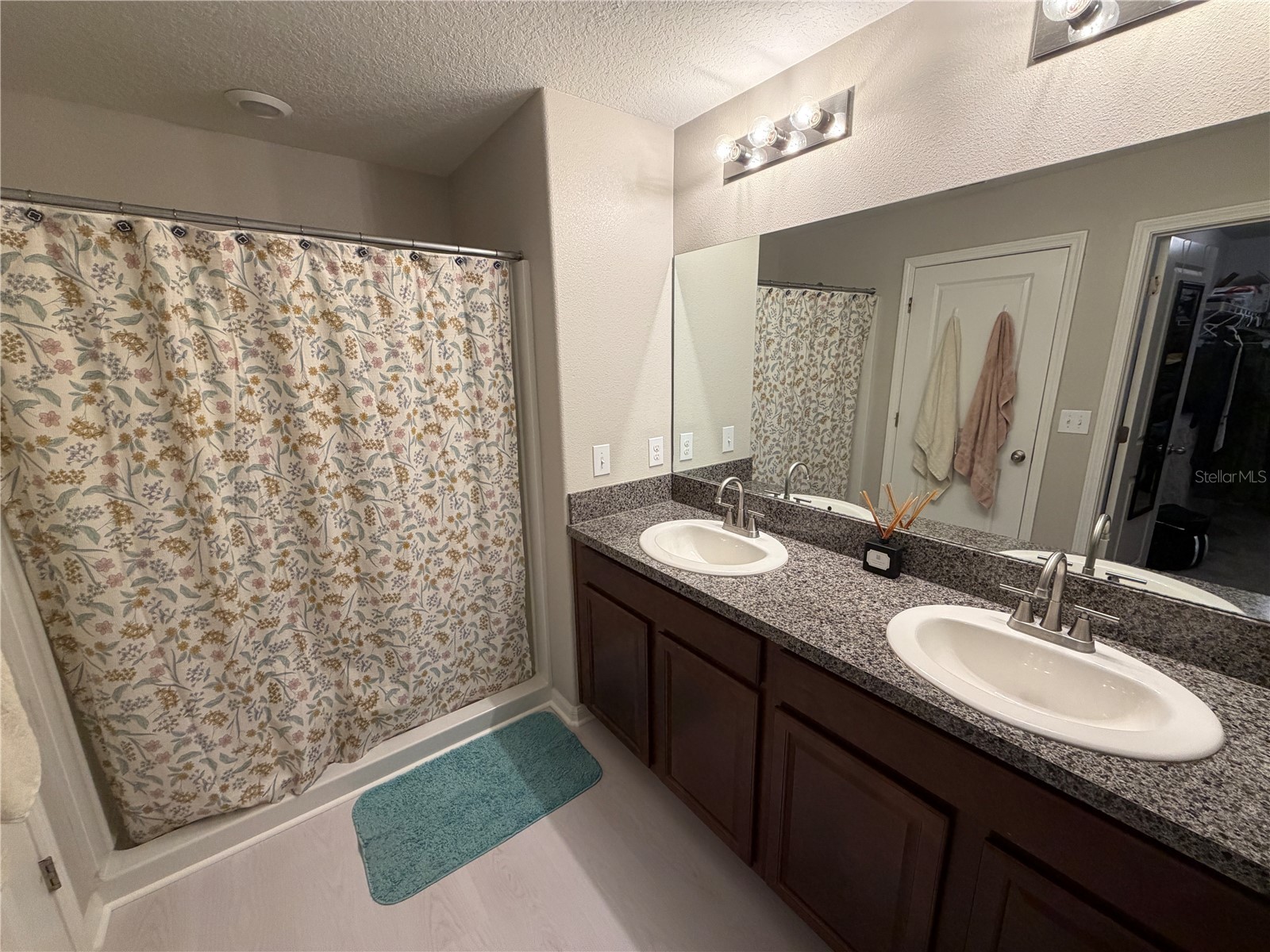 10130 Rose Petal Place Riverview FL 33578 A4695000 image28