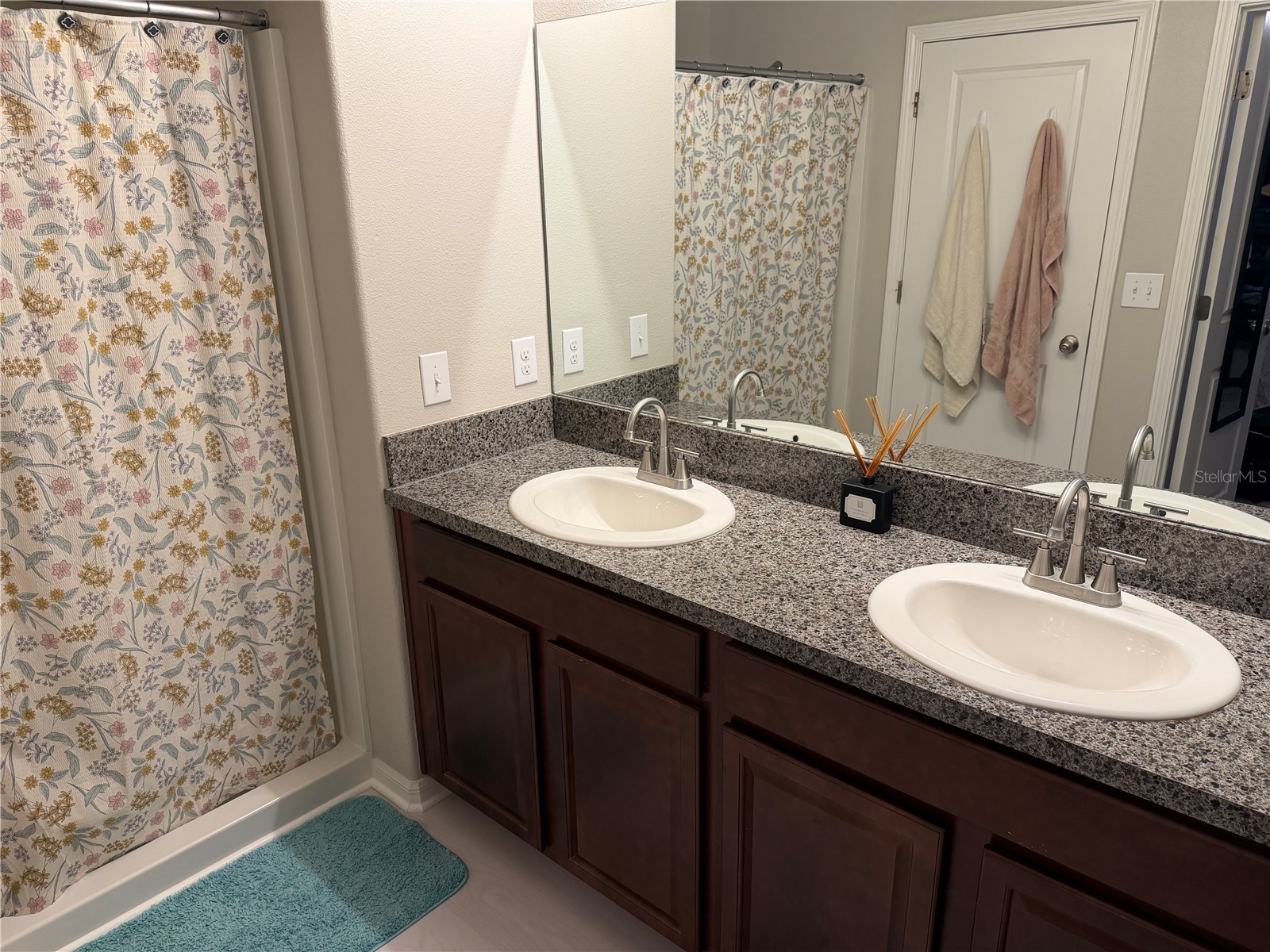10130 Rose Petal Place Riverview FL 33578 A4695000 image30