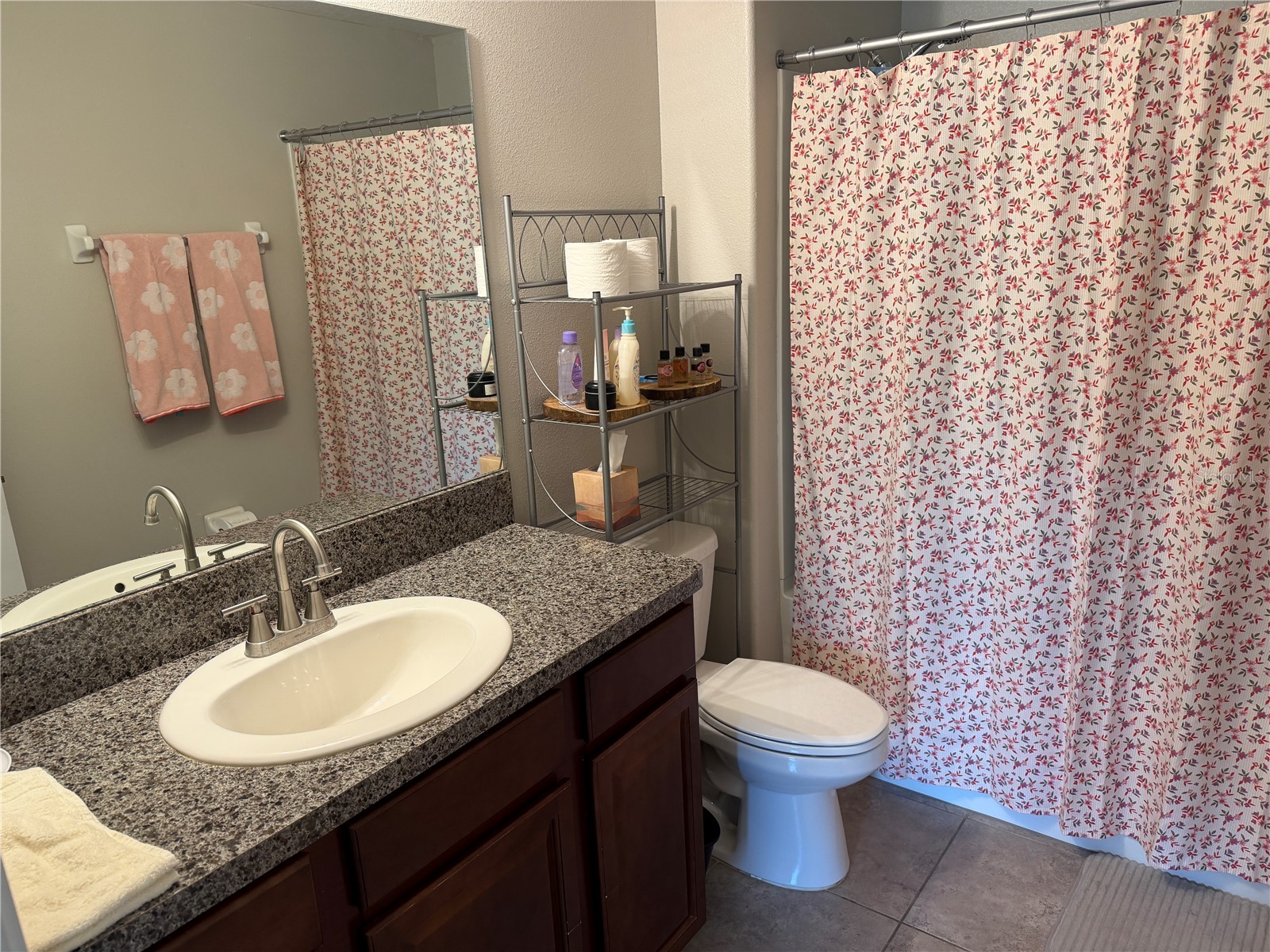 10130 Rose Petal Place Riverview FL 33578 A4695000 image36