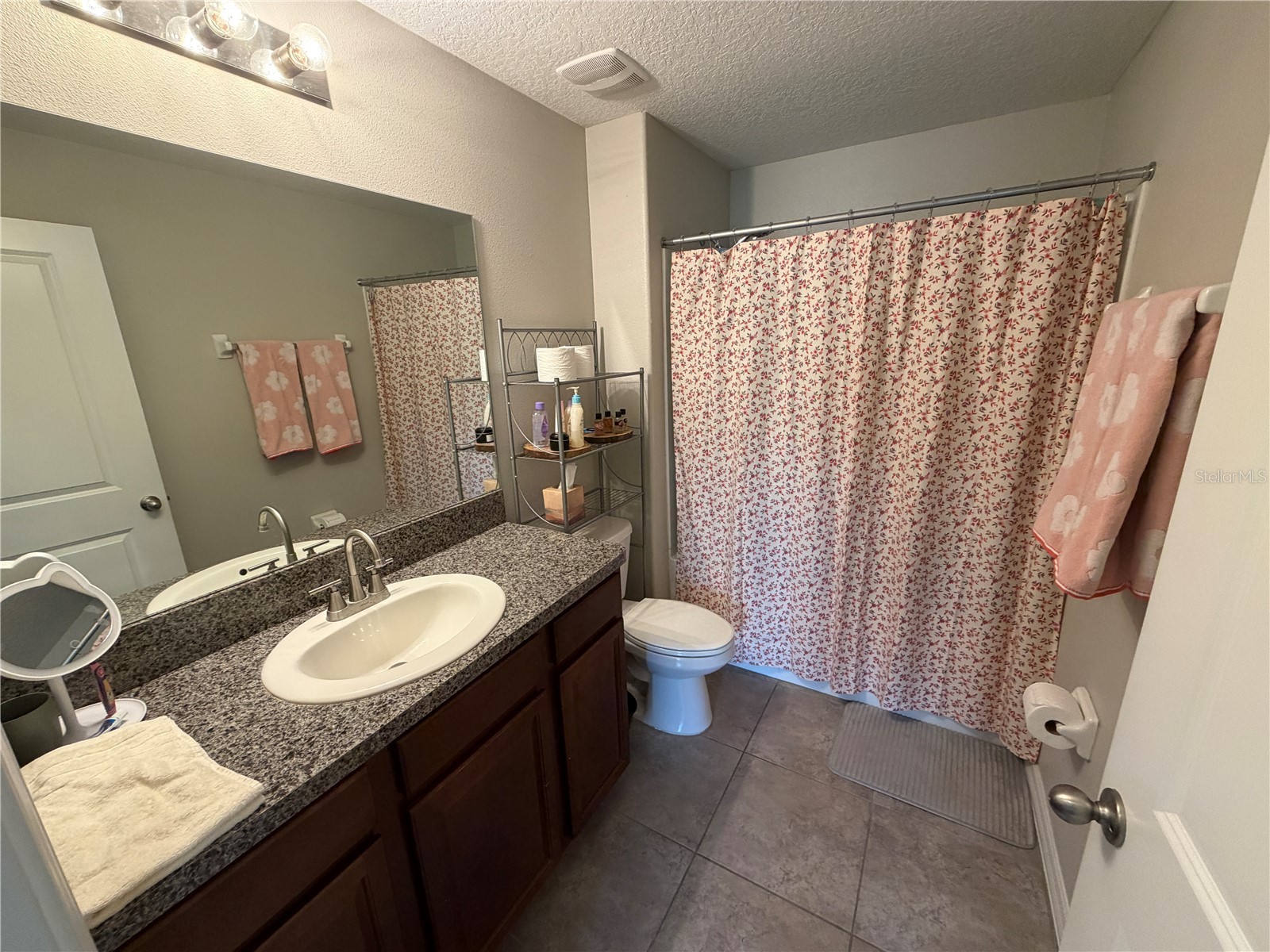 10130 Rose Petal Place Riverview FL 33578 A4695000 image37