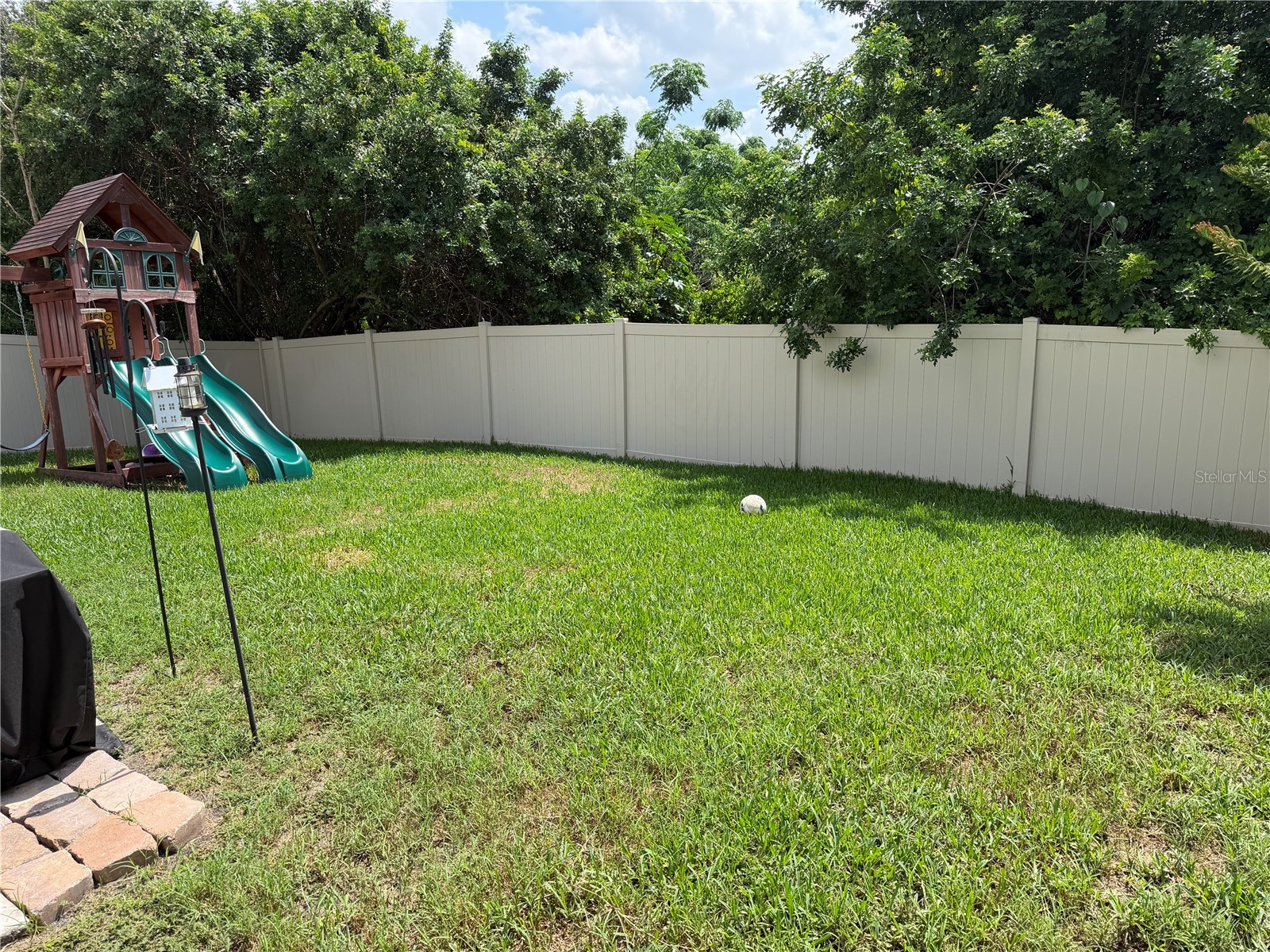 10130 Rose Petal Place Riverview FL 33578 A4695000 image47