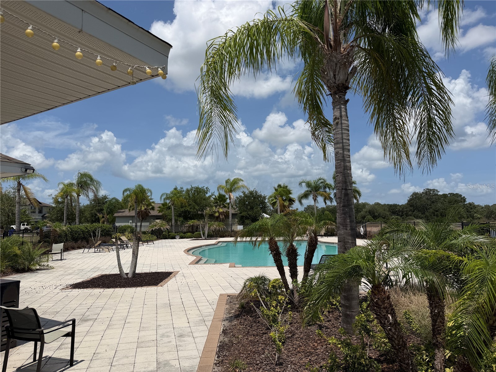 10130 Rose Petal Place Riverview FL 33578 A4695000 image53