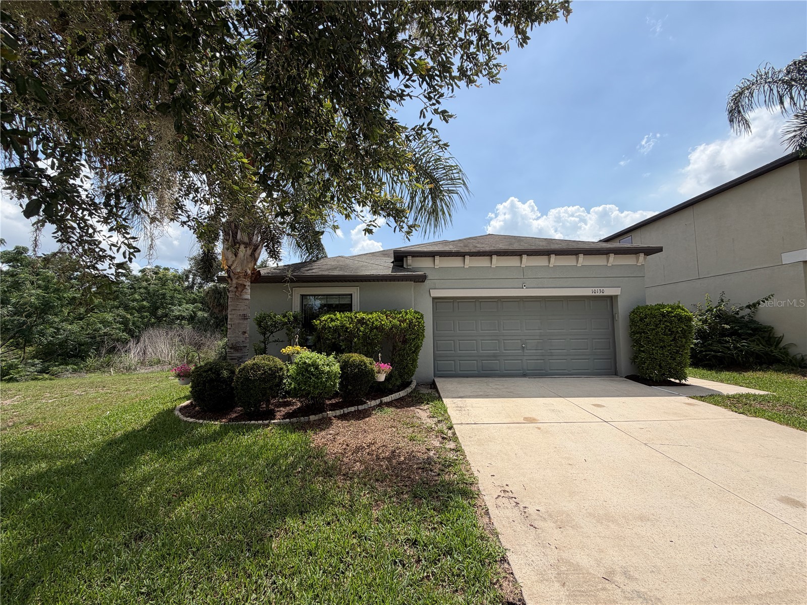 10130 Rose Petal Place Riverview FL 33578 A4695000 image6