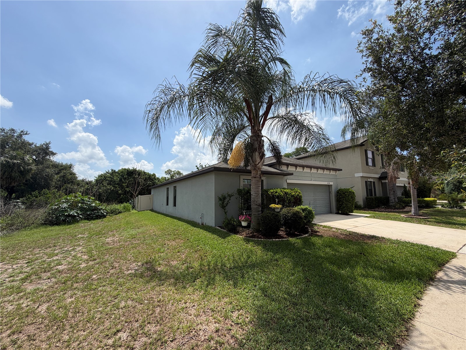 10130 Rose Petal Place Riverview FL 33578 A4695000 image9