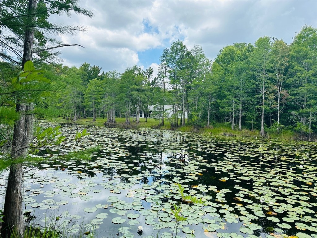 10130 Yellow Frog Avenue Weeki Wachee FL 34614 W7855380 image1