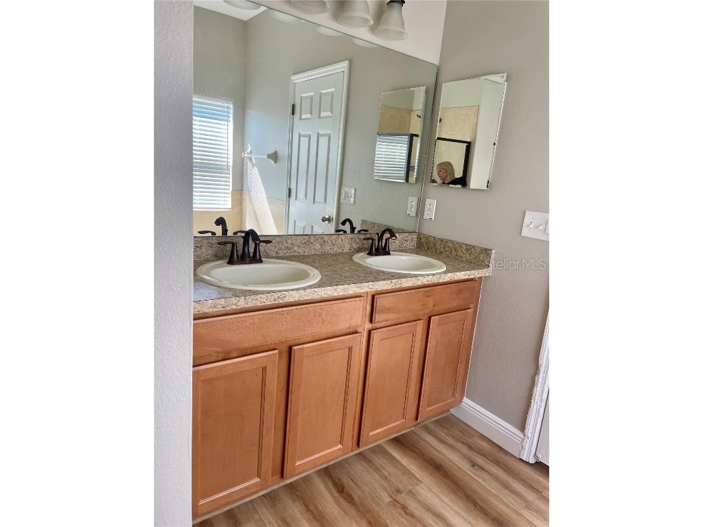 10131 Celtic Ash Drive Ruskin FL 33573 TB8447656 image11