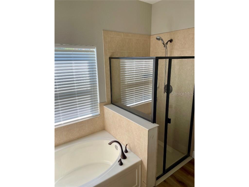 10131 Celtic Ash Drive Ruskin FL 33573 TB8447656 image12