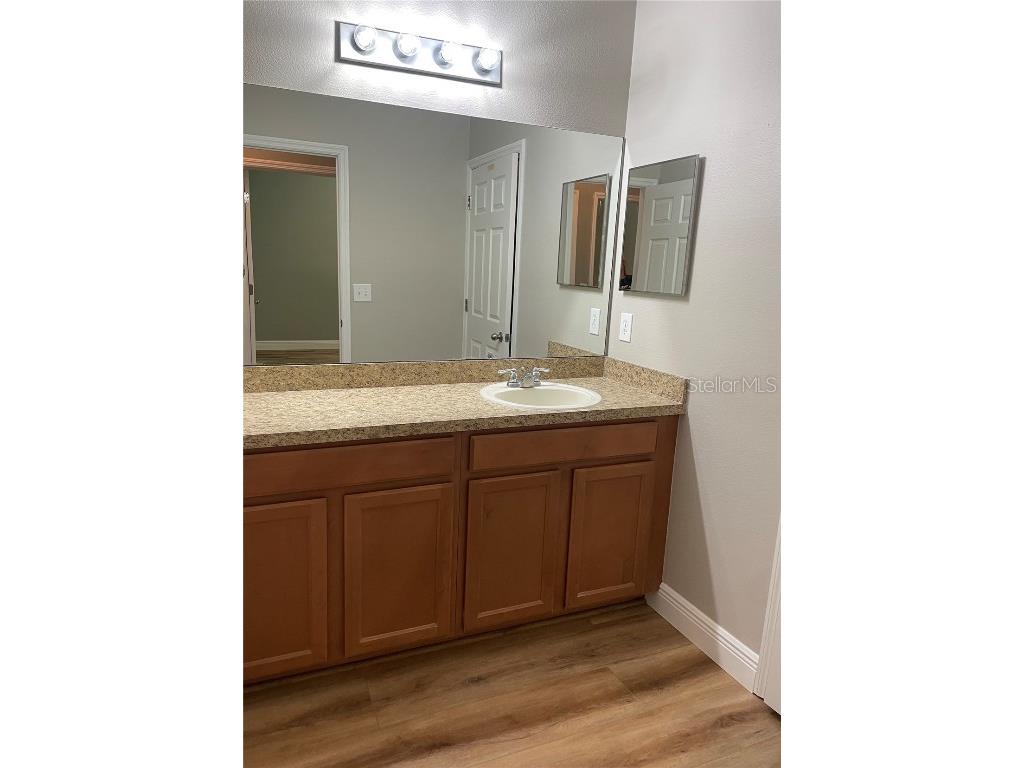 10131 Celtic Ash Drive Ruskin FL 33573 TB8447656 image16