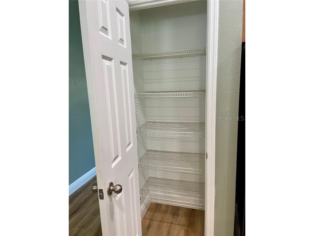 10131 Celtic Ash Drive Ruskin FL 33573 TB8447656 image19