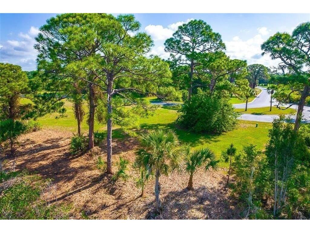 10131 Eagle Preserve Drive Englewood FL 34224 O6316220 image11
