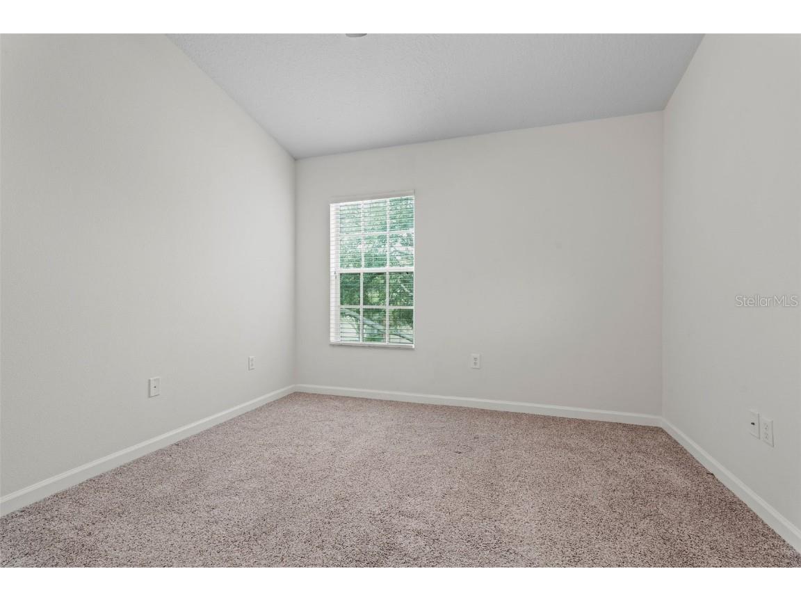 10131 Haverhill Ridge Drive #10131 Riverview FL 33578 - POND TB8433066 image27