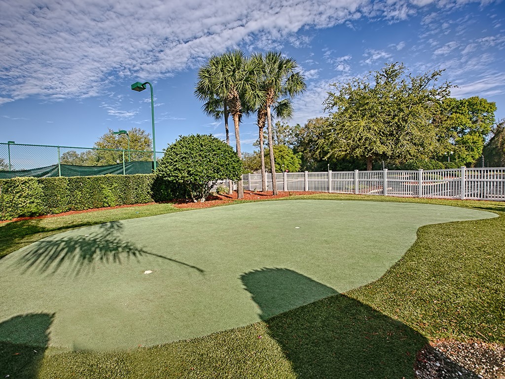 10131 Lake Miona Way Oxford FL 34484 - LAKE MIONA G5112854 image47