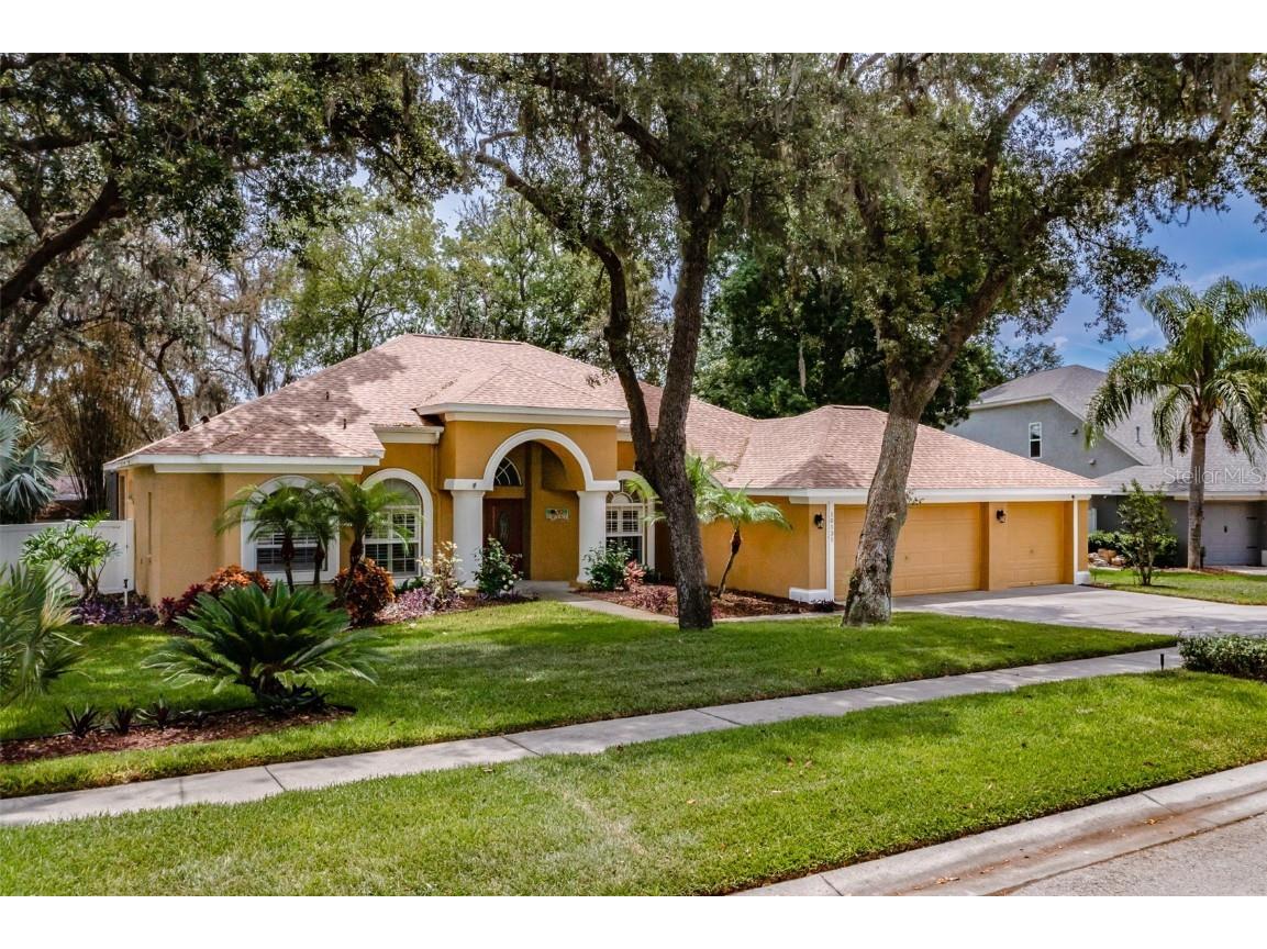 10131 Paddock Oaks Drive Riverview FL 33569 T3446122 image1