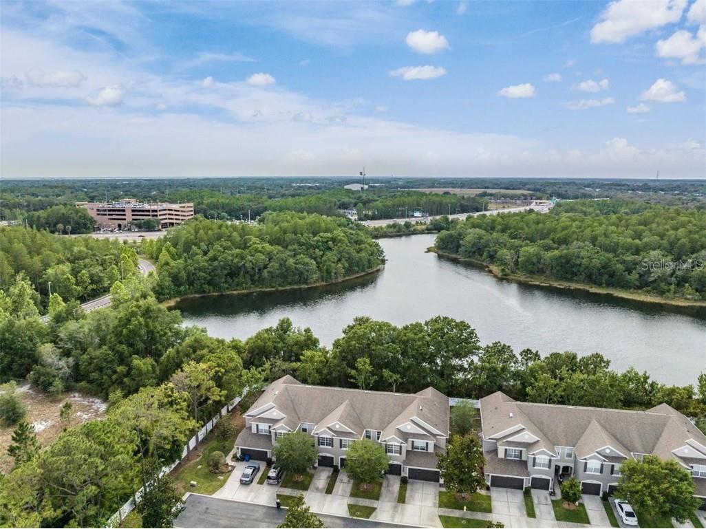 10131 Westpark Preserve Boulevard Tampa FL 33625 T3482881 image1