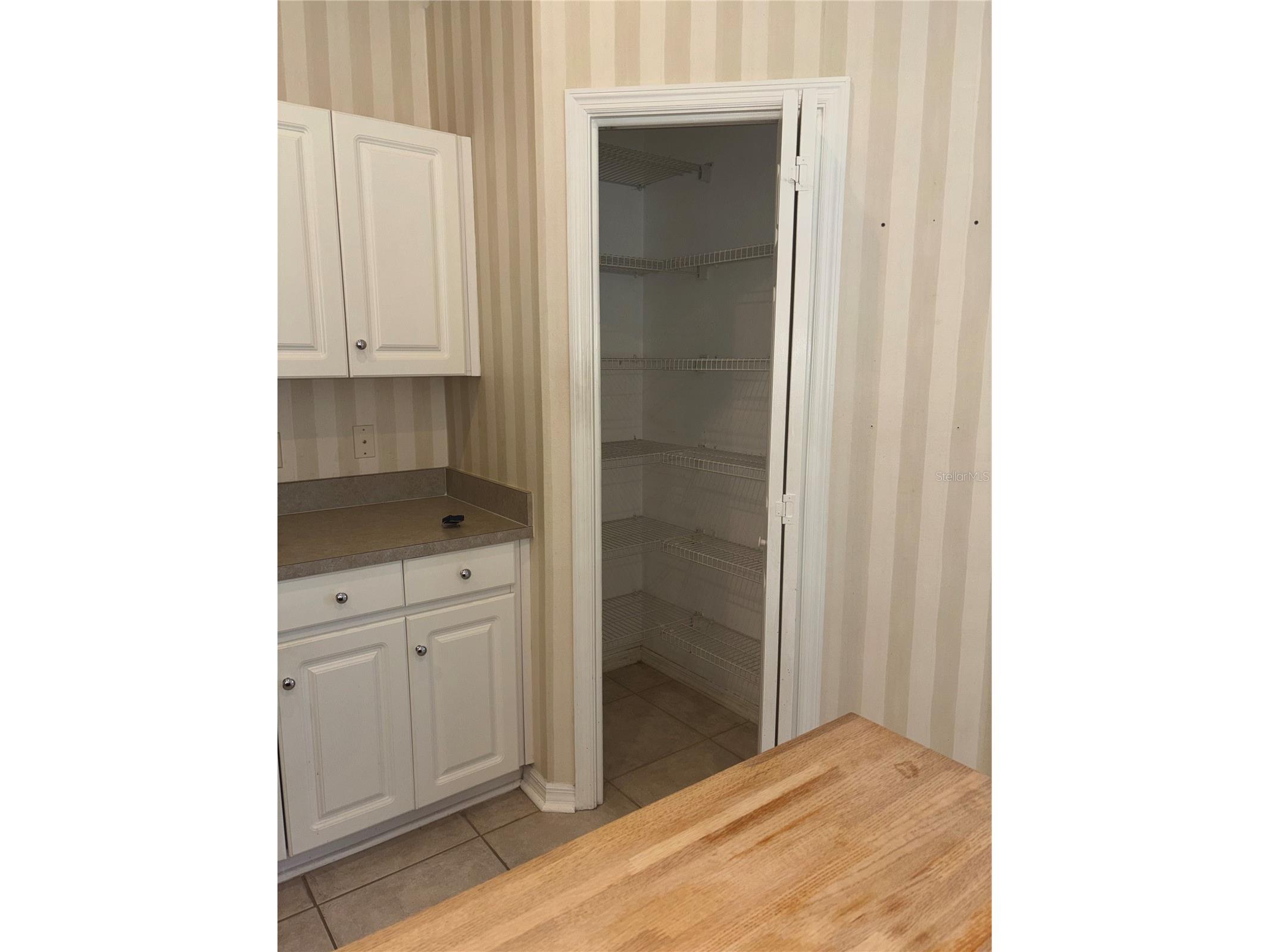 10132 Heather Sound Drive Tampa FL 33647 TB8501706 image18