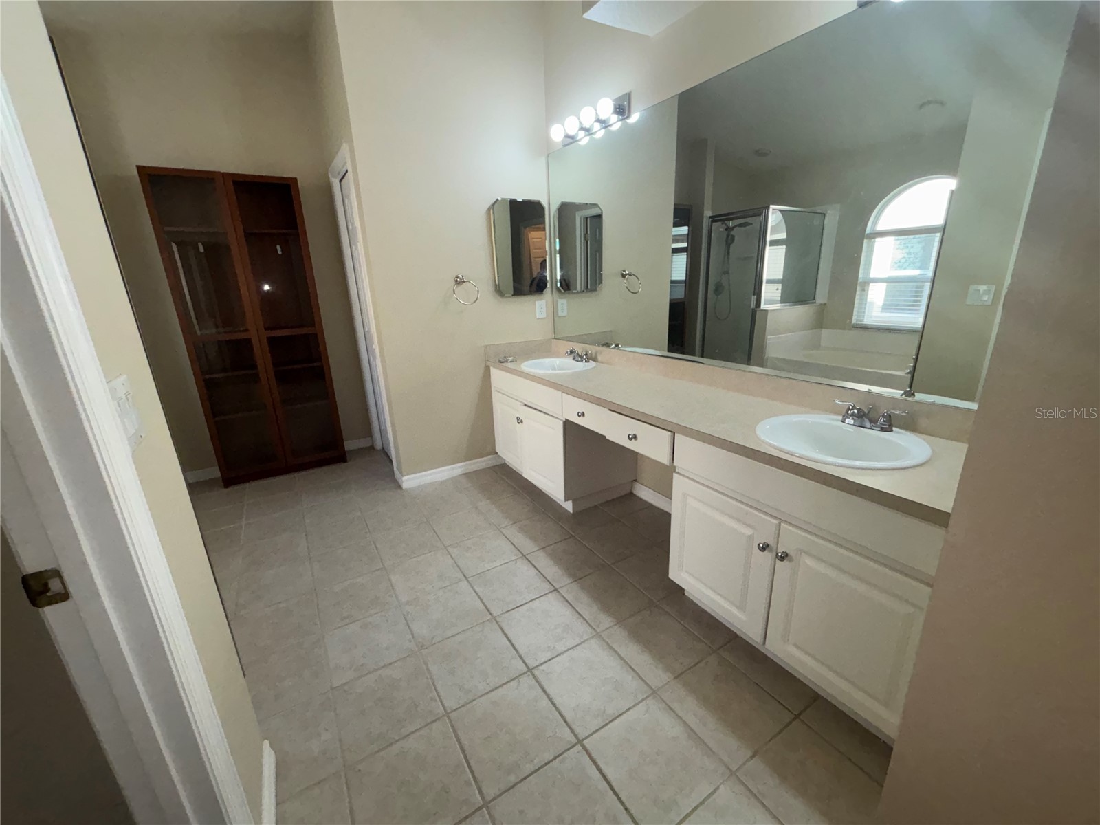 10132 Heather Sound Drive Tampa FL 33647 TB8501706 image28