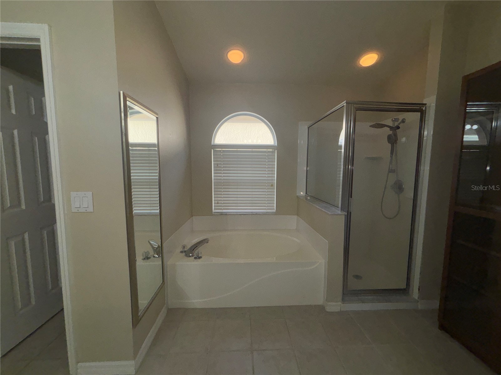 10132 Heather Sound Drive Tampa FL 33647 TB8501706 image30