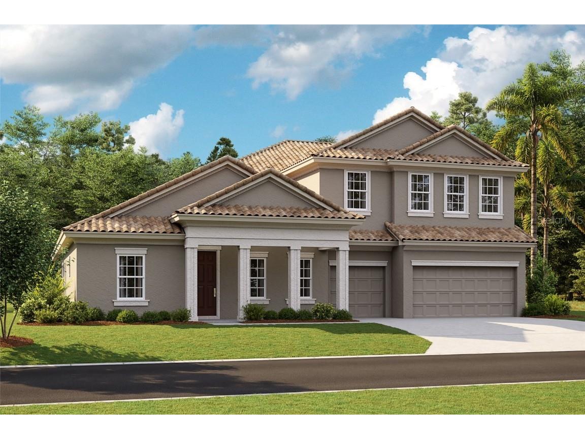 10132 Meadowrun Drive Lithia FL 33547 T3482125 image1