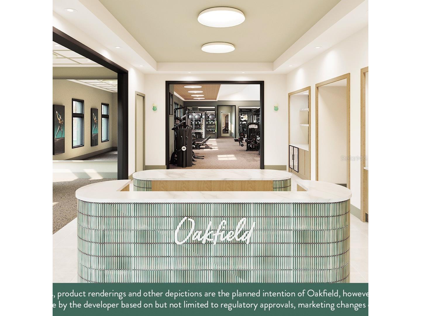 10132 Morning Meadowlark Trail Parrish FL 34219 TB8490352 image53