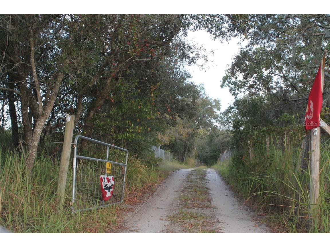 10132 New York Avenue Hudson FL 34667 TB8446416 image1