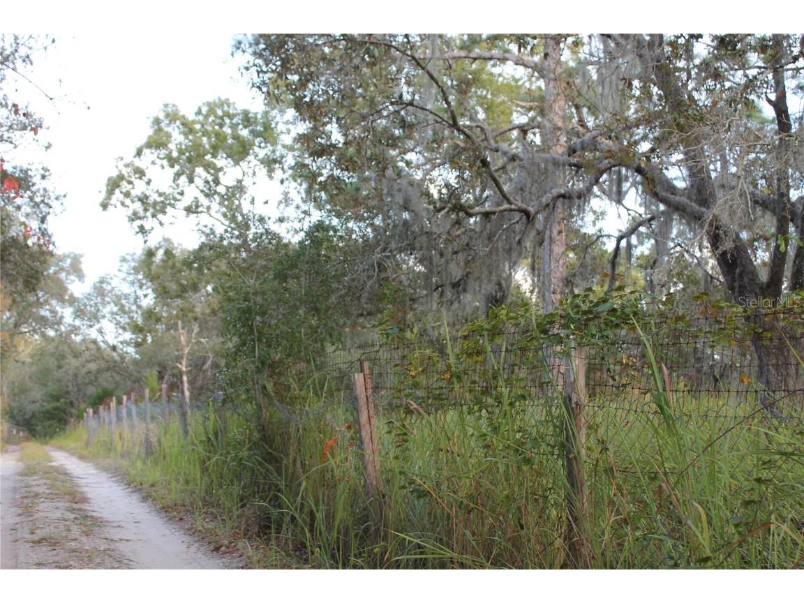 10132 New York Avenue Hudson FL 34667 TB8446416 image2