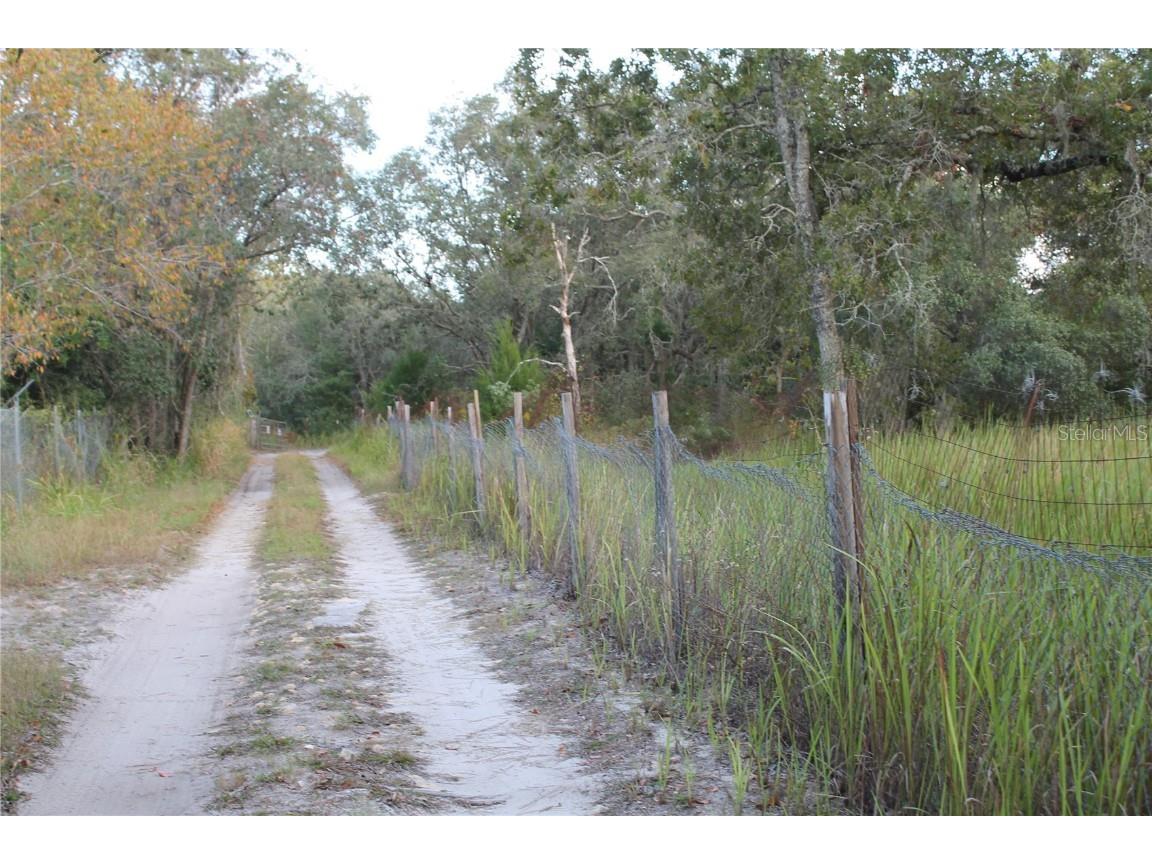 10132 New York Avenue Hudson FL 34667 TB8446416 image3