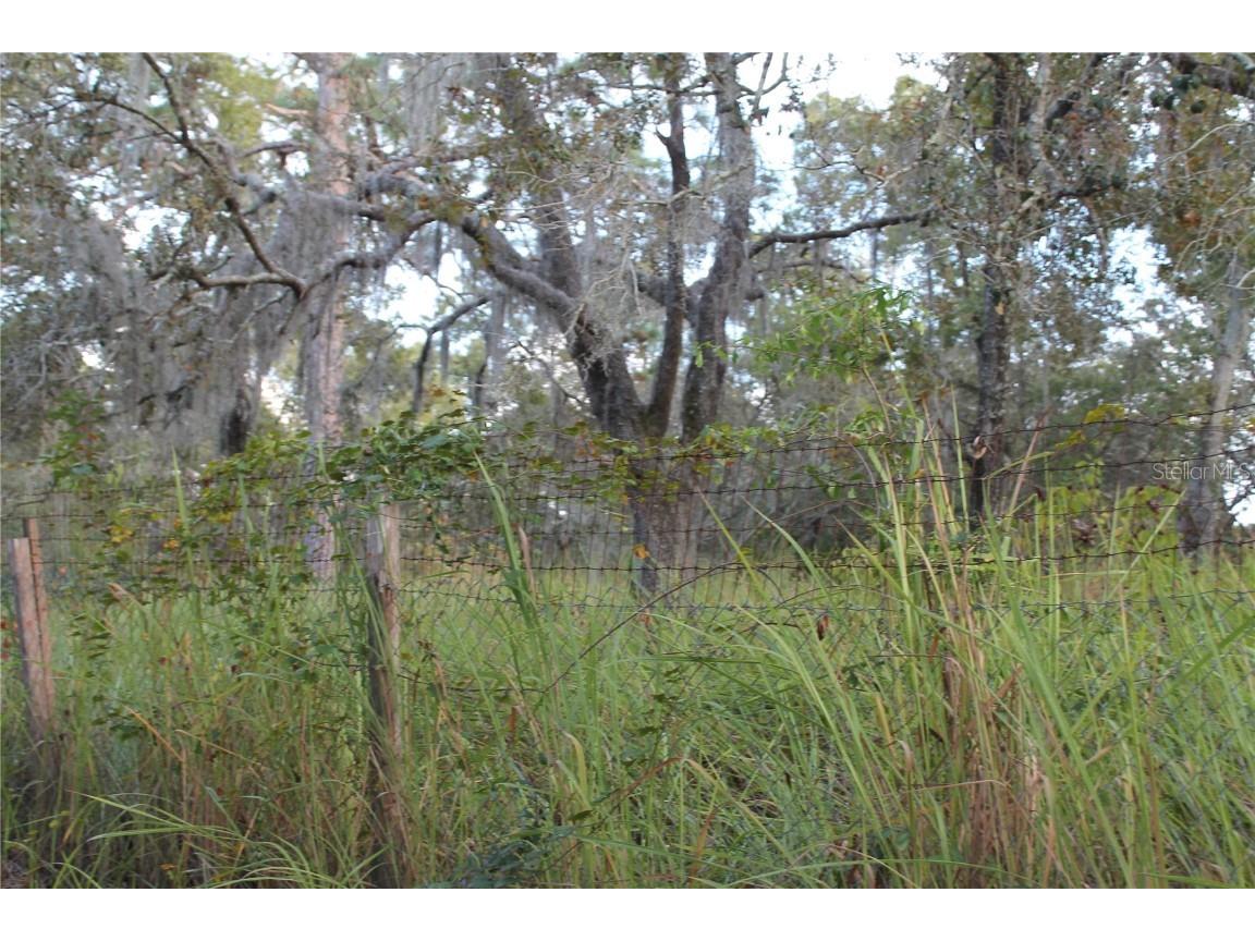 10132 New York Avenue Hudson FL 34667 TB8446416 image4