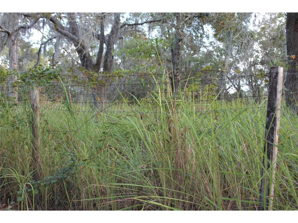 10132 New York Avenue Hudson FL 34667 TB8446416 image5