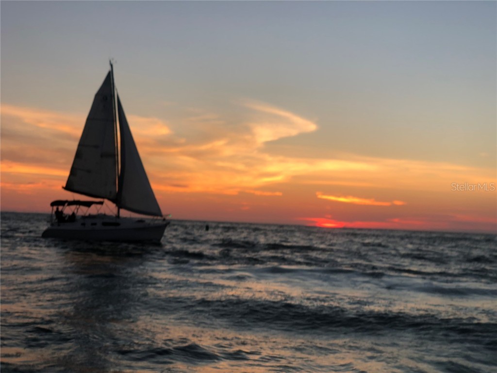 10133 4th Street E Treasure Island FL 33706 TB8438028 image45