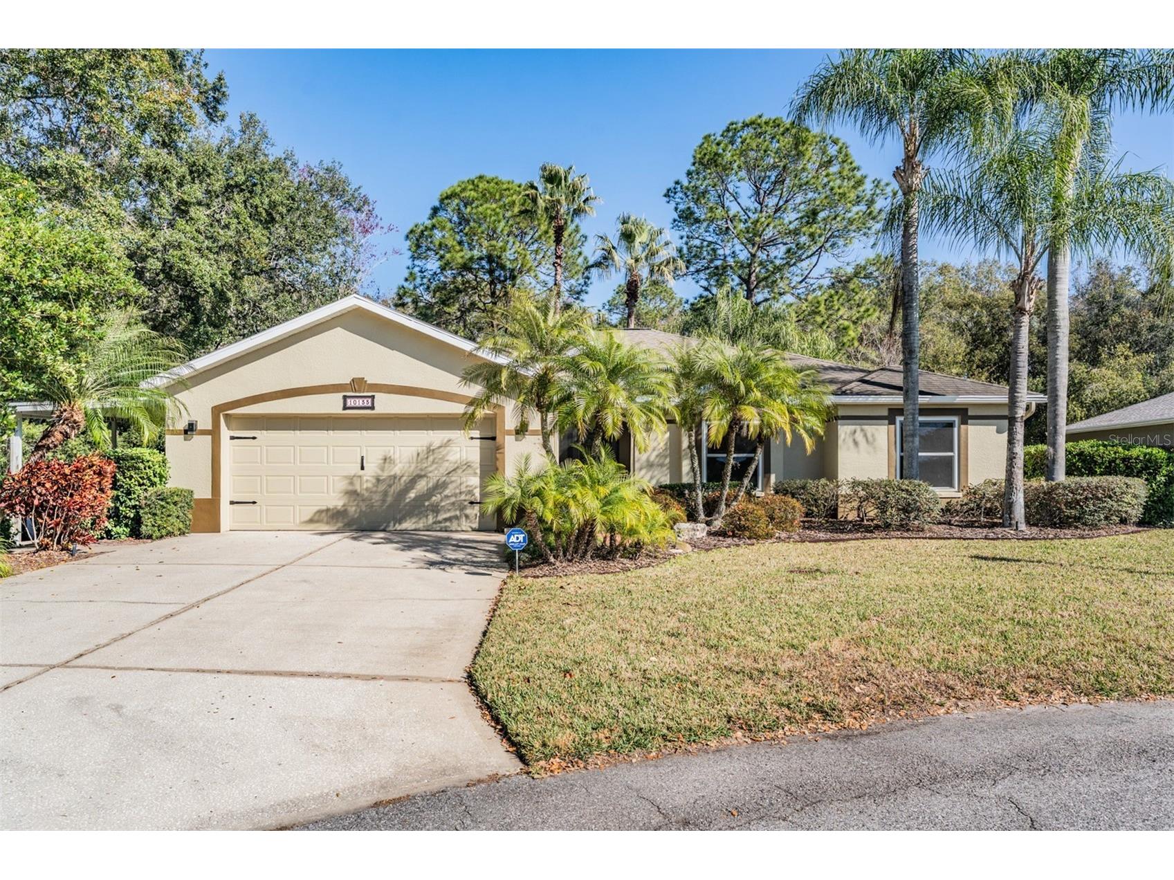 10133 Collar Drive San Antonio FL 33576 TB8470767 image1