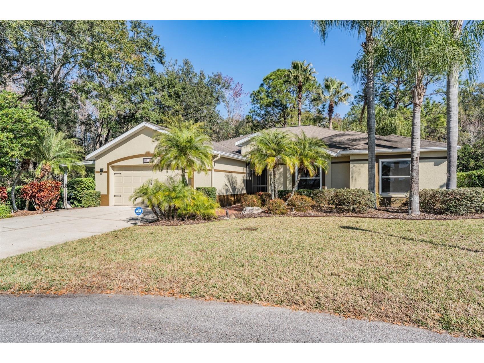 10133 Collar Drive San Antonio FL 33576 TB8470767 image11