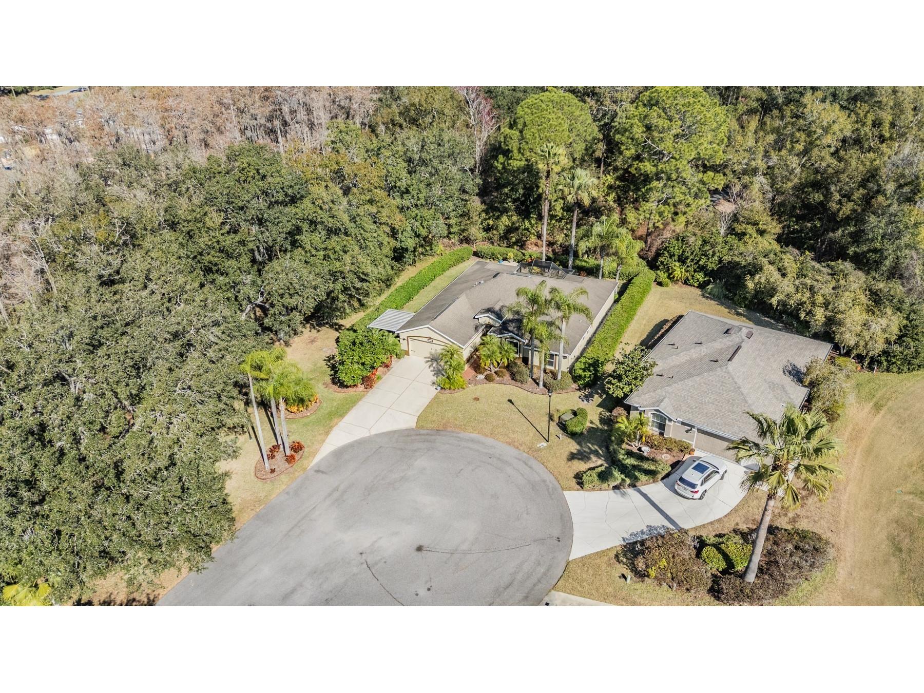 10133 Collar Drive San Antonio FL 33576 TB8470767 image20