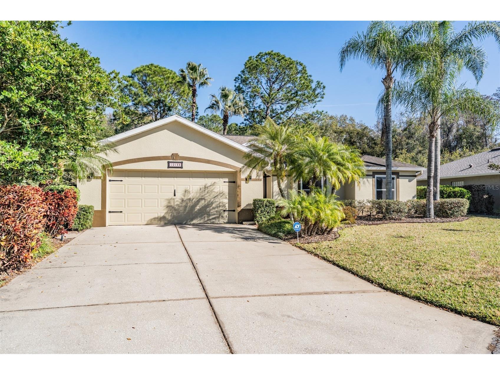 10133 Collar Drive San Antonio FL 33576 TB8470767 image21