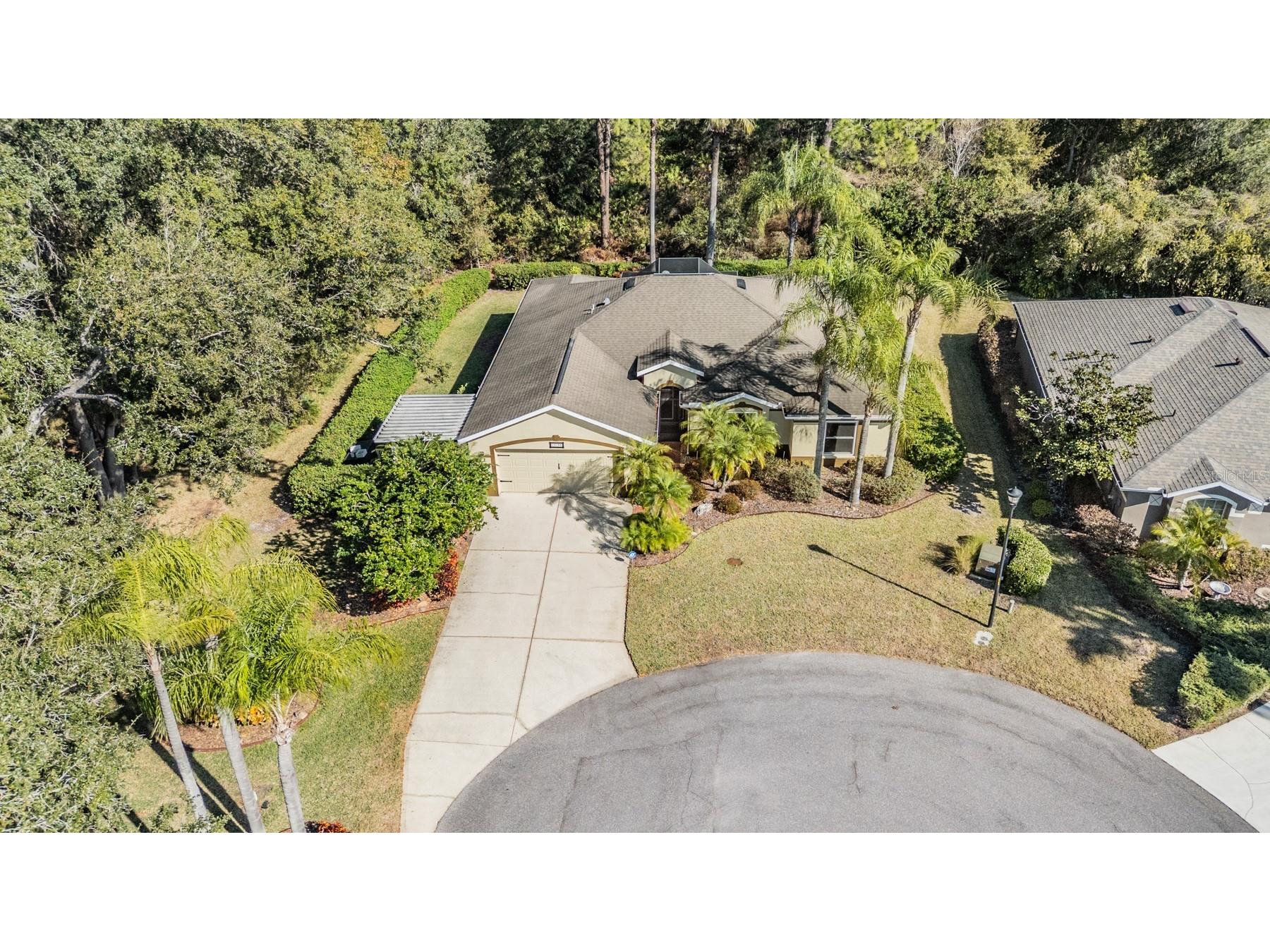 10133 Collar Drive San Antonio FL 33576 TB8470767 image26