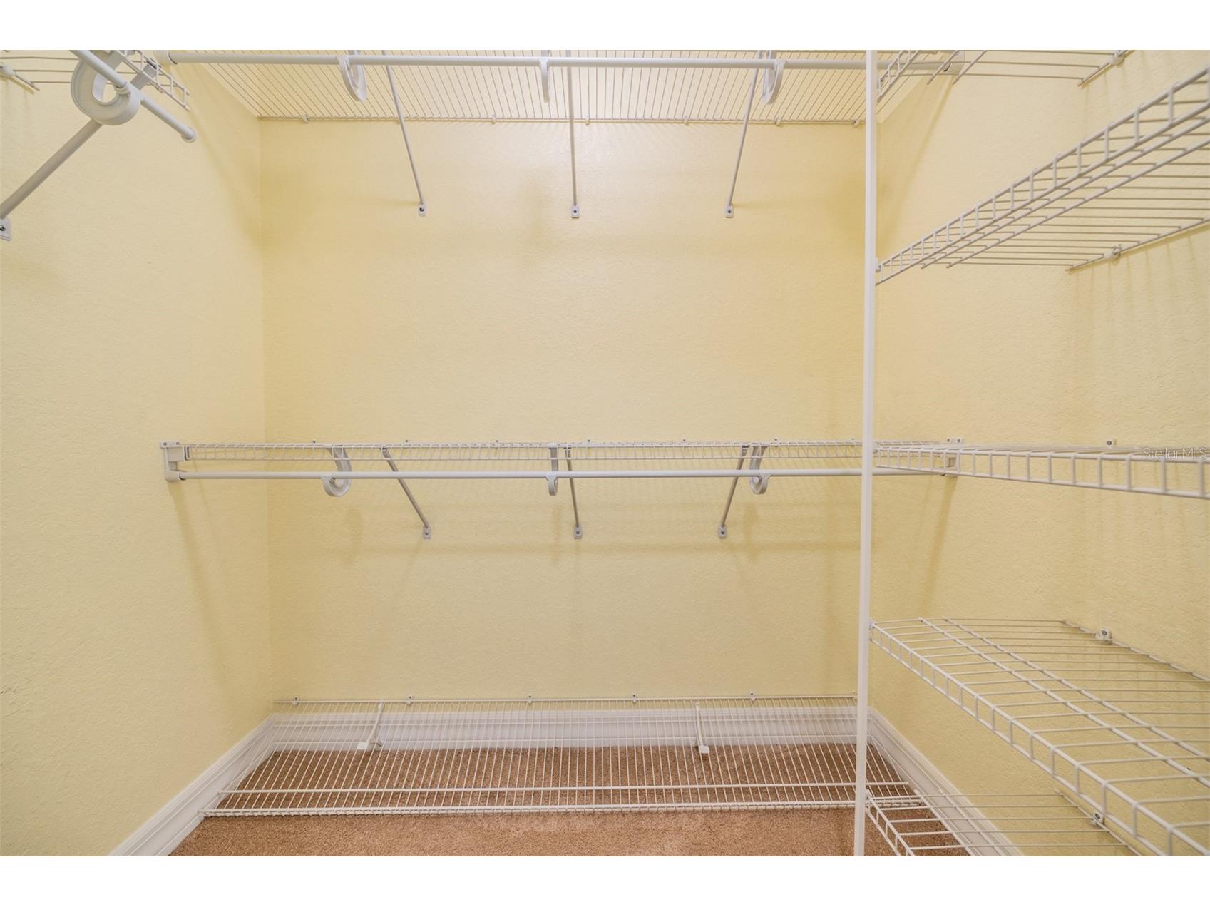 10133 Collar Drive San Antonio FL 33576 TB8470767 image42