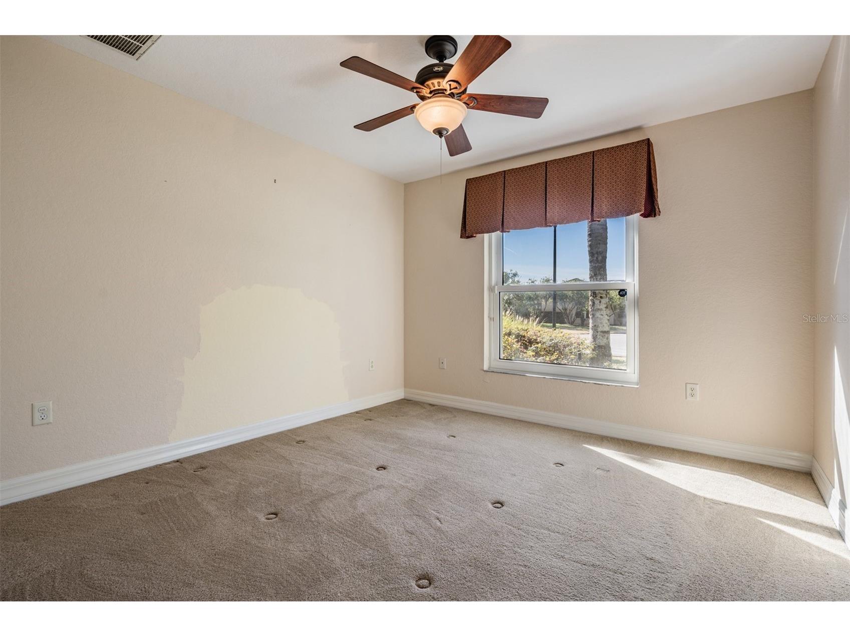10133 Collar Drive San Antonio FL 33576 TB8470767 image44